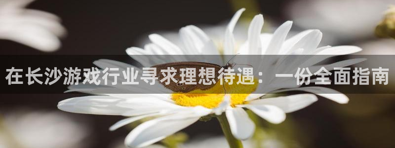 新宝gg一创造奇迹登录龙,虎,和：在长沙游戏行业寻求理想待遇：一份全面指南