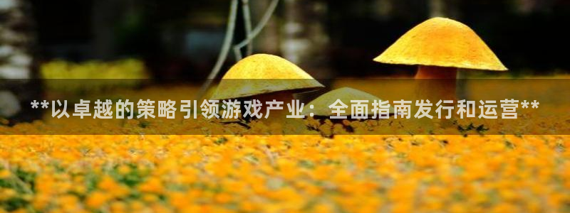 新宝GG平台招商