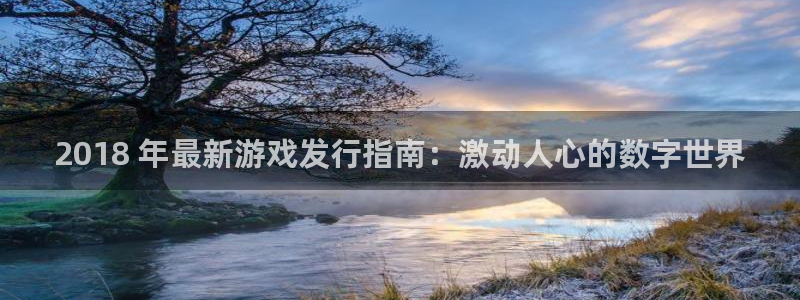 新宝gg创造奇迹登录首页：2018 年最新游戏发行指南：激动人心的数字世界