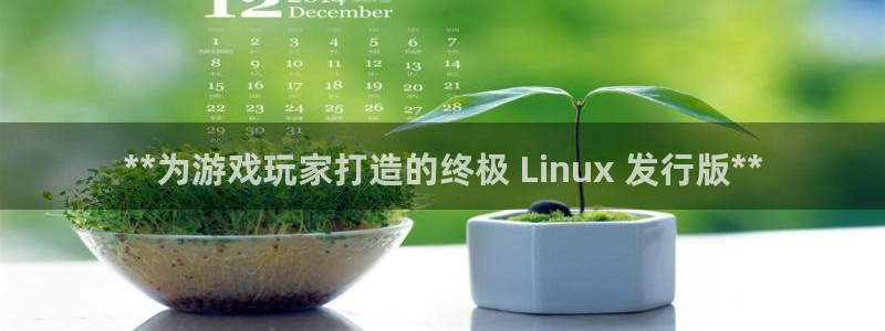 新宝gg游戏首页：**为游戏玩家打造的终极 Linux 发行版**