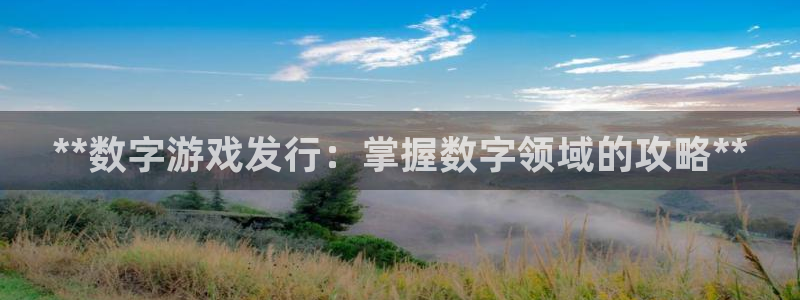 新宝gg平台是否合法：**数字游戏发行：掌握数字领域的攻略**