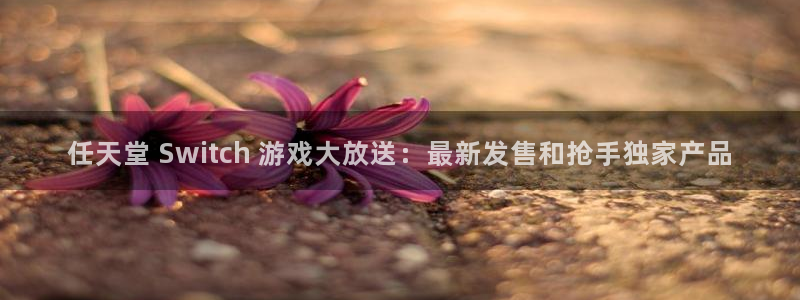 新宝gg平台―创造奇迹登录：任天堂 Switch 游戏大放送：最新发售和抢手独家产品