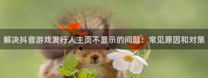 新宝GG平台开户：解决抖音游戏发行人主页不显示的问题：常见原因和对策