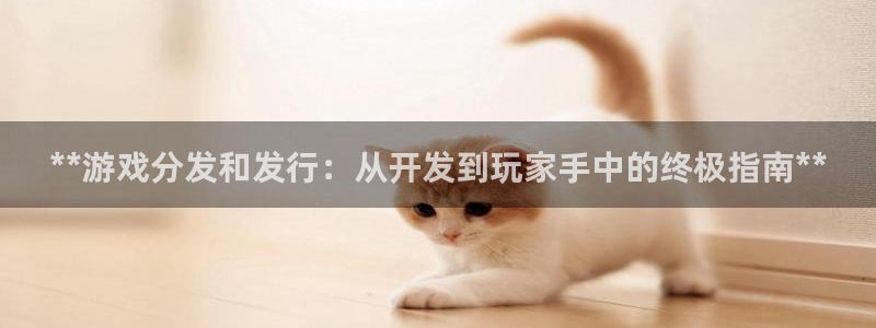 新宝gg登录测速中心：**游戏分发和发行：从开发到玩家手中的终极指南**