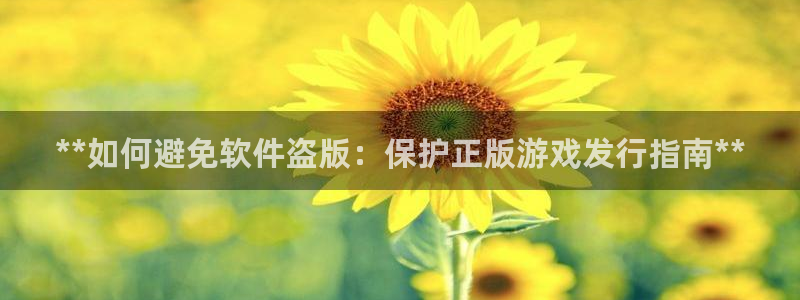 新宝gg创造奇迹官方登录注册入口：**如何避免软件盗版：保护正版游戏发行指南**