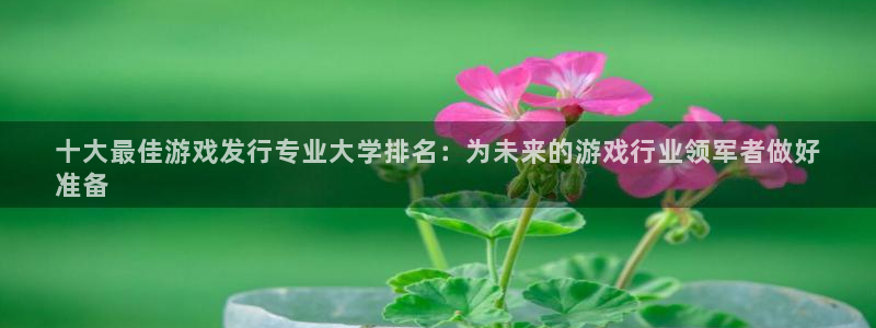 新宝一gg测速：十大最佳游戏发行专业大学排名：为未来的游戏行业领军者做好
准备