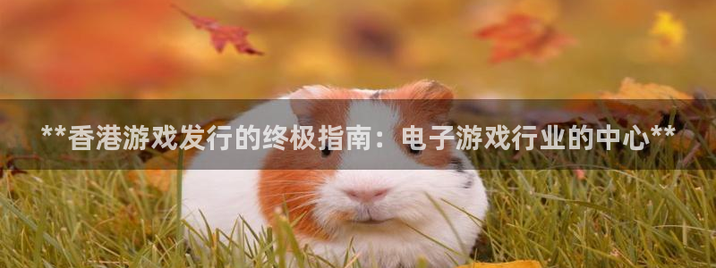 新宝gg—创造奇迹官网登录：**香港游戏发行的终极指南：电子游戏行业的中心**