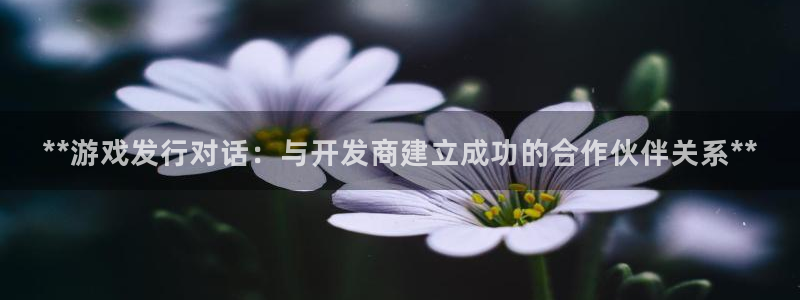 新宝gg提现不到账了?：**游戏发行对话：与开发商建立成功的合作伙伴关系**