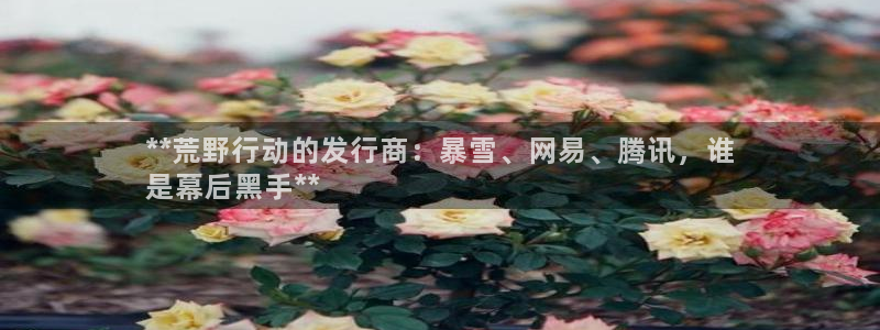 新宝gg登录不上去了