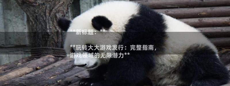 新宝gg测速：**新标题：**

**玩转大大游戏发行：完整指南，
游戏领域的无限潜力**