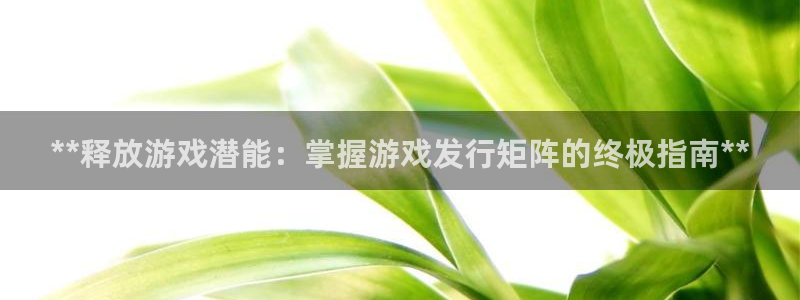 新宝gg登录不上去了了：**释放游戏潜能：掌握游戏发行矩阵的终极指南**