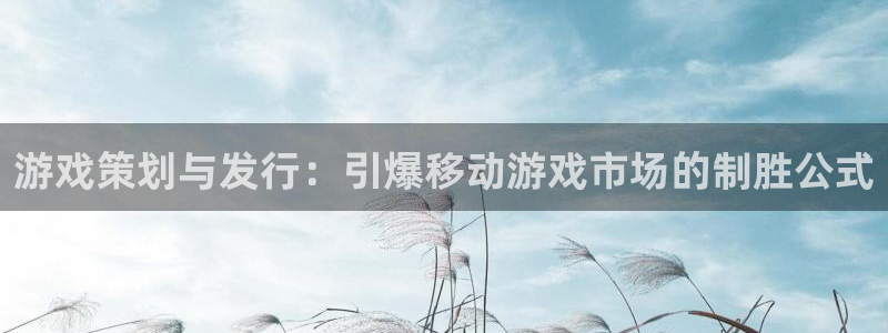新宝gg登录不上去了了：游戏策划与发行：引爆移动游戏市场的制胜公式