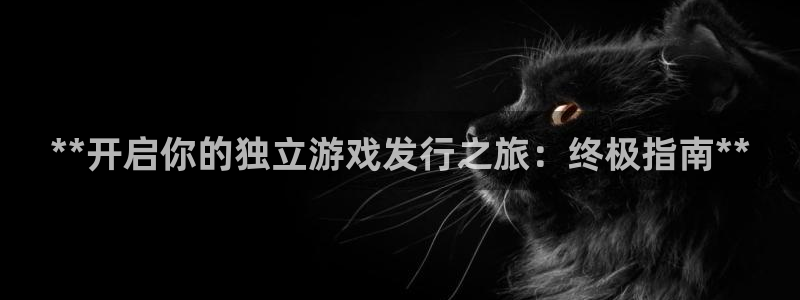 新宝gg 创造奇迹：**开启你的独立游戏发行之旅：终极指南**