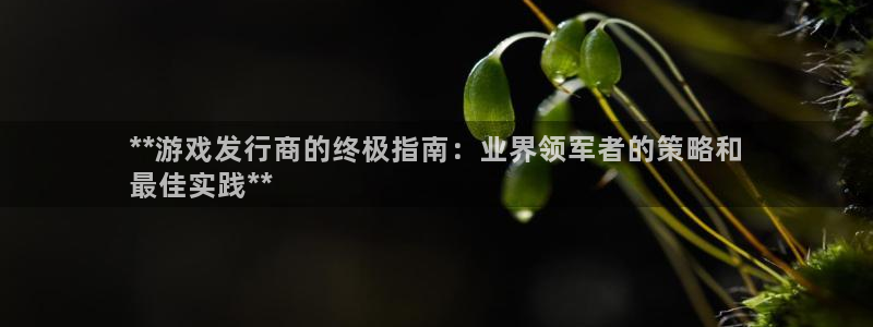 新宝gg账号注册平台：**游戏发行商的终极指南：业界领军者的策略和
最佳实践**