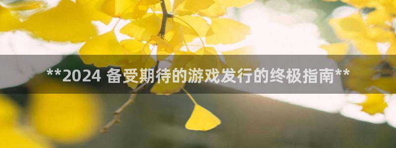 新宝gg娱乐创造奇迹登录官网：**2024 备受期待的游戏发行的终极指南**