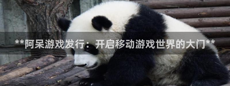 新宝gg创造奇迹登录注册优势：**阿呆游戏发行：开启移动游戏世界的大门**