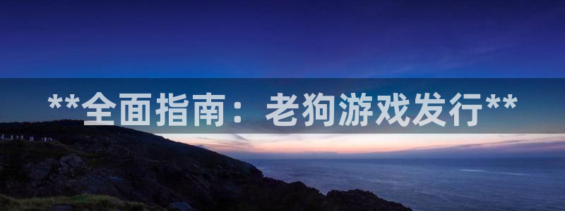 新宝gg创造奇迹登陆 127.0.0.1：**全面指南：老狗游戏发行**