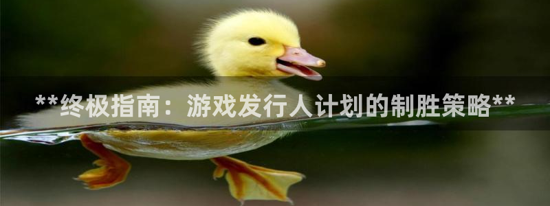 新宝GG平台负责人：**终极指南：游戏发行人计划的制胜策略**
