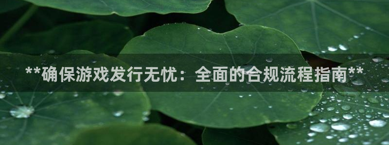 新宝gg创造奇迹登录入口：**确保游戏发行无忧：全面的合规流程指南**