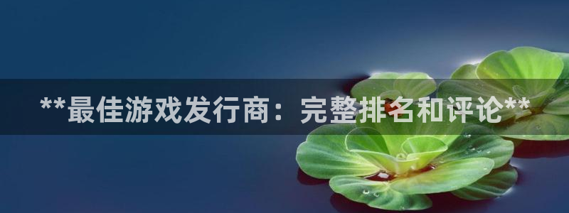 新宝gg平台注册网址：**最佳游戏发行商：完整排名和评论**