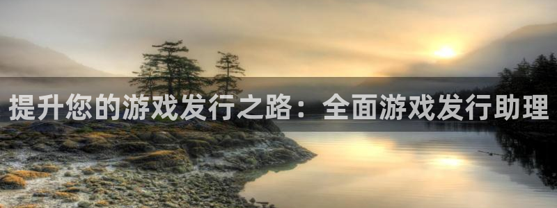 新宝GG创造奇迹：提升您的游戏发行之路：全面游戏发行助理