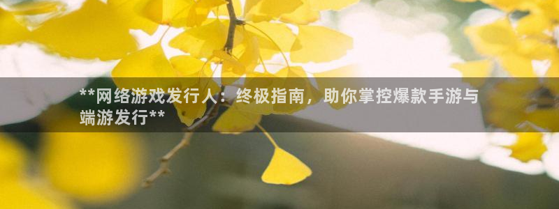 新宝gg一创造奇迹登录：**网络游戏发行人：终极指南，助你掌控爆款手游与
端游发行**