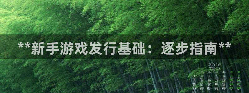 新宝gg平台注册网址：**新手游戏发行基础：逐步指南**
