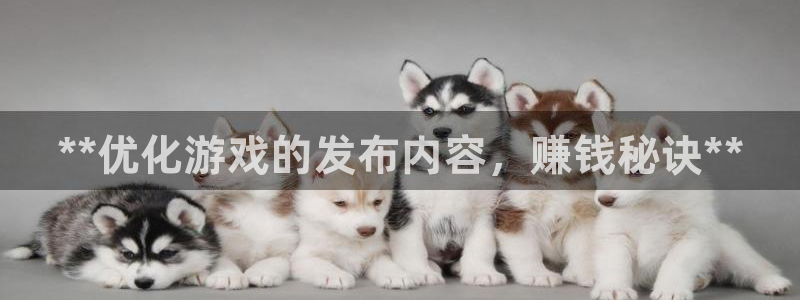新宝GG创奇迹
