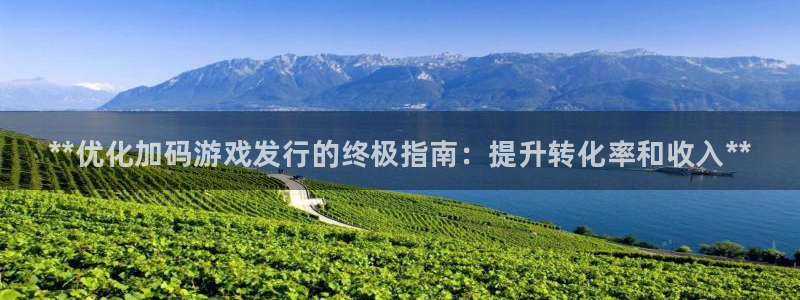 新宝gg — 创造奇迹!：**优化加码游戏发行的终极指南：提升转化率和收入**