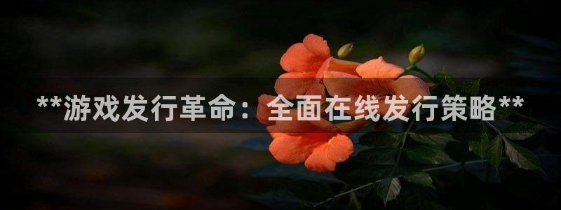 新宝gg账号注册平台：**游戏发行革命：全面在线发行策略**