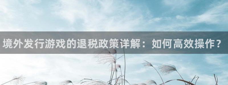 新宝gg一创造奇迹