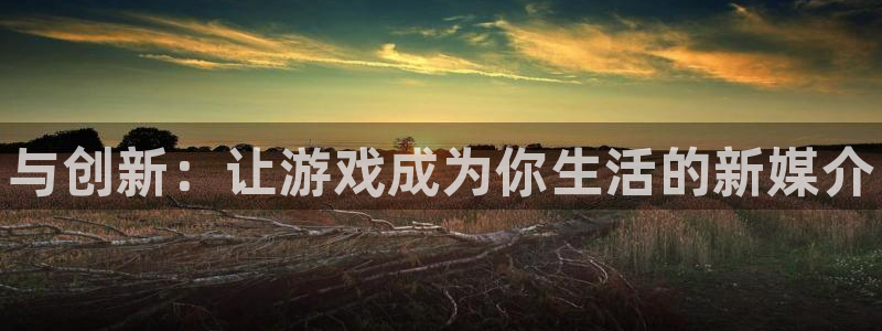 新宝gg创造奇代理加盟：与创新：让游戏成为你生活的新媒介