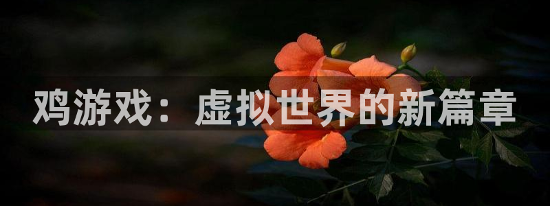 新宝gg创造奇迹官方登录注册入口：鸡游戏：虚拟世界的新篇章