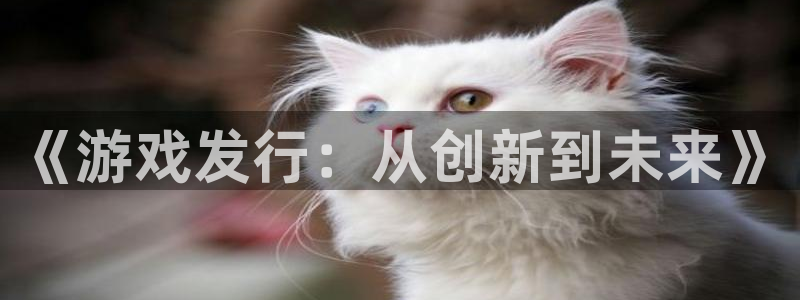 新宝gg5注册：《游戏发行：从创新到未来》