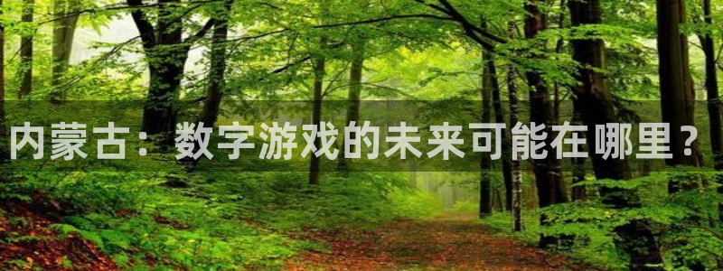 新宝gg创造奇奇迹：内蒙古：数字游戏的未来可能在哪里？