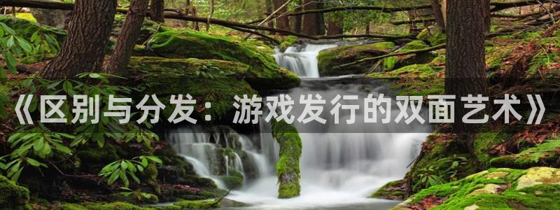 新宝gg游戏首页：《区别与分发：游戏发行的双面艺术》
